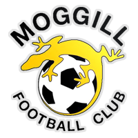 叶士域治骑士